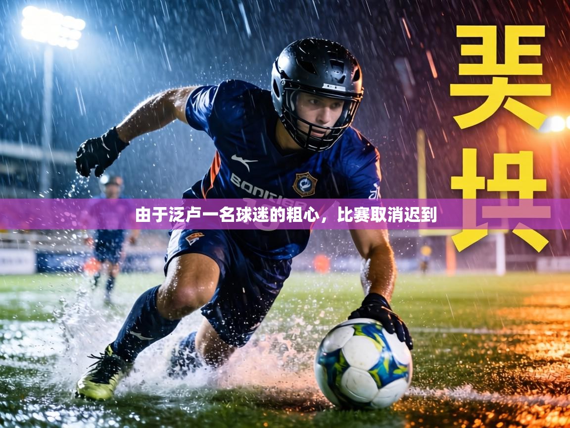 由于泛卢一名球迷的粗心,比赛取消迟到 第1张