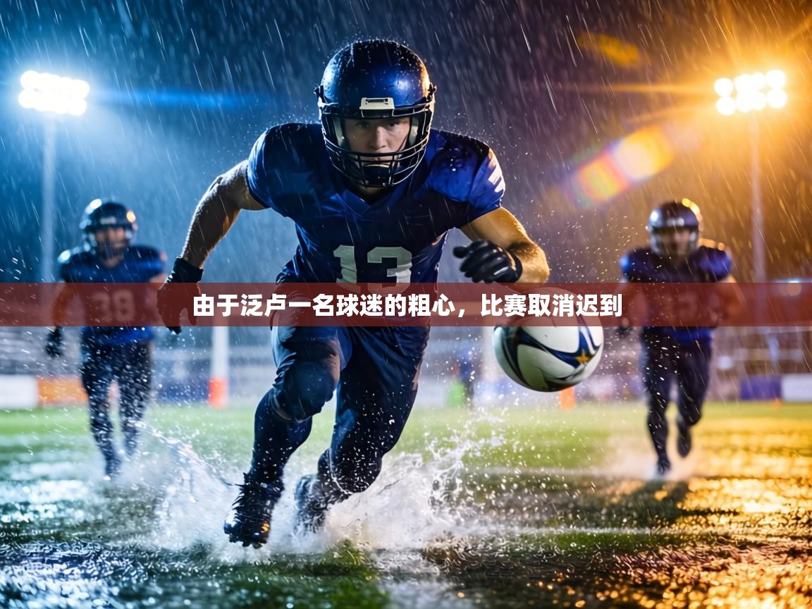 由于泛卢一名球迷的粗心,比赛取消迟到 第2张